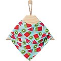 Frisco Fruity Summer Dog & Cat Bandana, X-Small/Small
