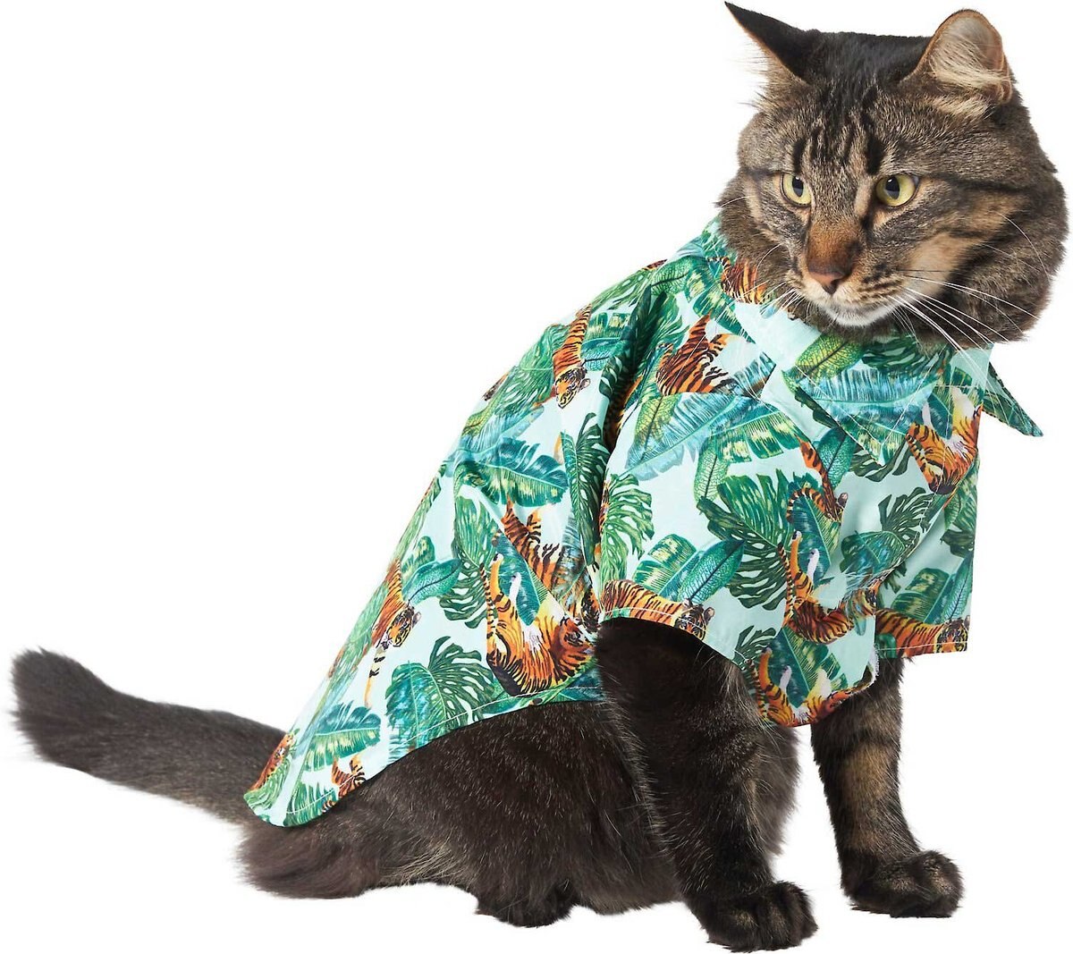 Chewy hotsell hawaiian shirt