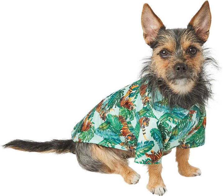 chewy hawaiian shirt