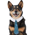 Frisco Striped Dog & Cat Neck Tie, Blue, Medium/Large