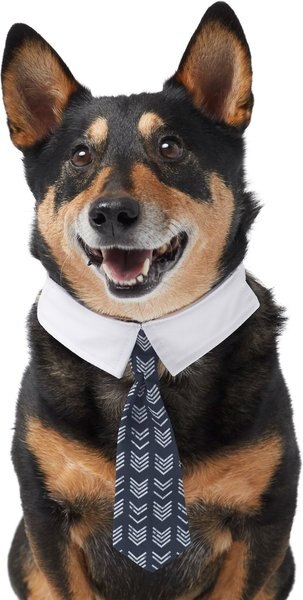 Frisco Boho Dog & Cat Neck Tie