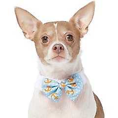 Frisco Nautical Anchor Dog & Cat Bow Tie, Medium/Large