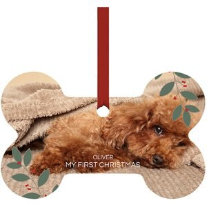 Frisco "My First Christmas" Bone Shape Metal Personalized Dog Holiday Ornament