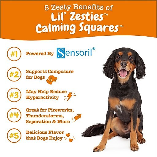 Zesty Paws Lil' Zesties Calming Squares Chicken Flavored Soft Chews Calming Supplement for Dogs, 10-oz bag