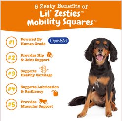 Zesty Paws Lil' Zesties Mobility Squares Chicken Flavored Soft Chews Hip & Joint Supplement for Dogs, 10-oz bag slide 2 of 9