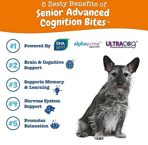 Zesty Paws Advanced Cognition Bites Chicken Flavored Soft Chews Brain & Nervous System Supplement for Senior Dogs, 90 count