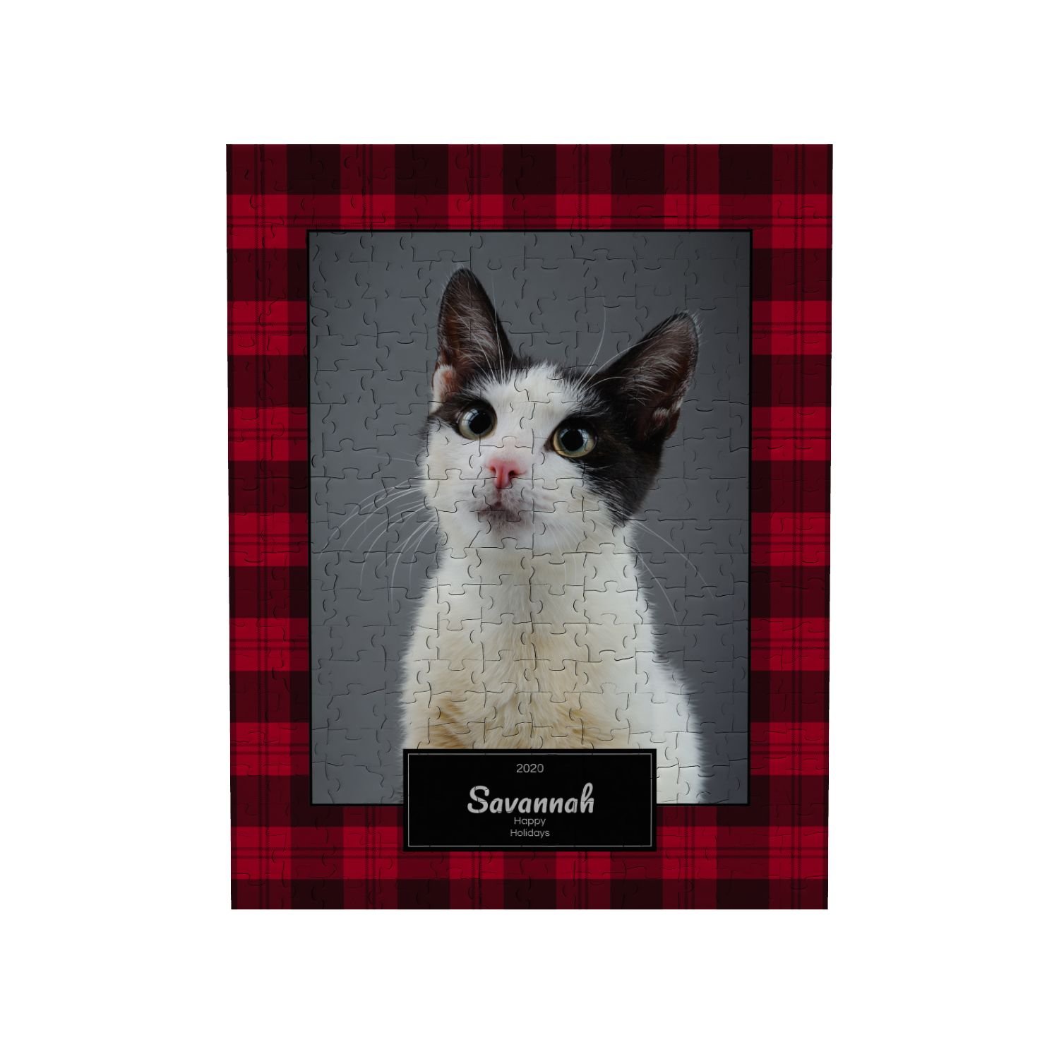 What Are Some Ways To Make Sure My Images Look Their Best Chewy what-are-some-ways-to-make-sure-my-images-look-their-best-chewy