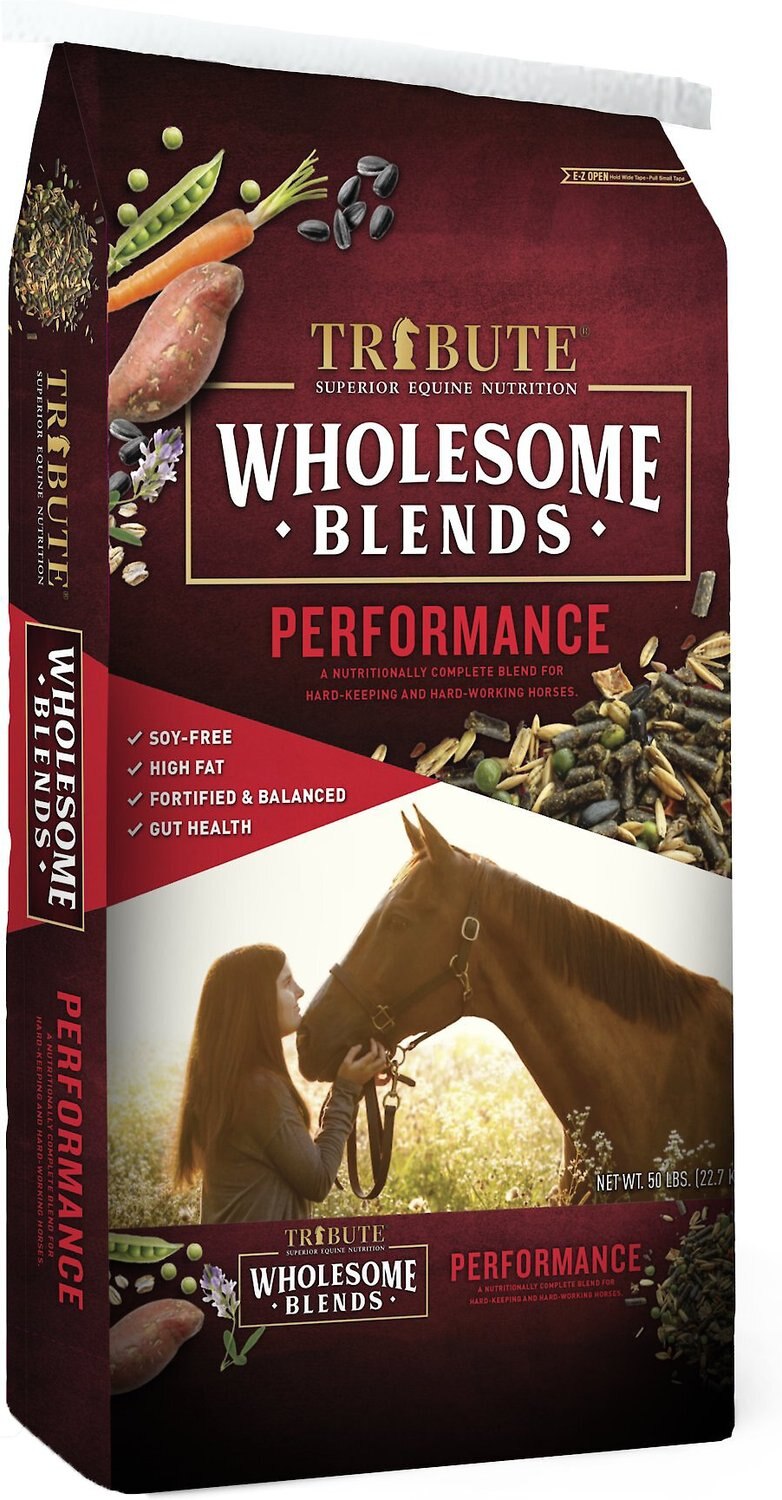 TRIBUTE EQUINE NUTRITION Wholesome Blends Performance Horse Food, 50lb