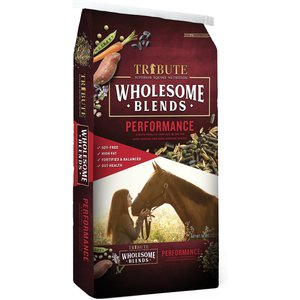 TRIBUTE EQUINE NUTRITION Constant Comfort Plus Gut Health Horse