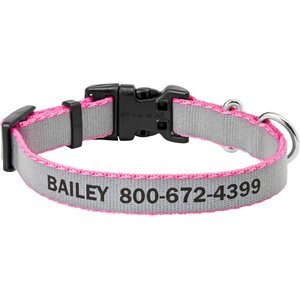 Frisco Polyester Personalized Reflective Dog Collar, X-Small - Neck: 8 - 12-in, Width: 5/8-in, Pink