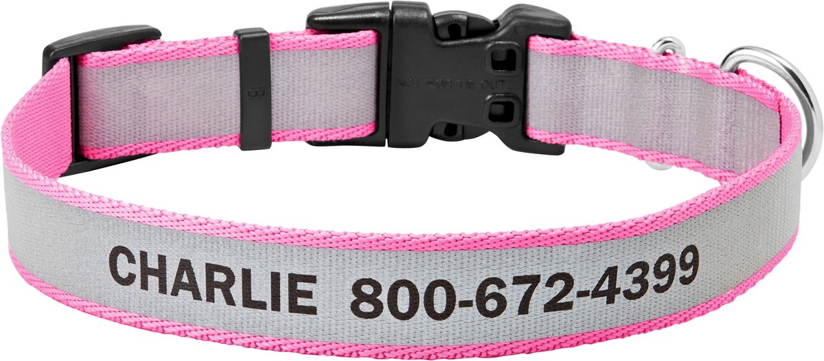 Personalized Dog Collar