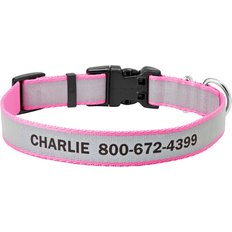 Dog Collars: Ex Small to Large Dogs, Low Price (Free Shipping) | Chewy