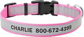 Frisco Polyester Personalized Reflective Dog Collar, Medium - Neck: 14 - 20-in, Width: 1-in, Pink