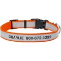 Frisco Polyester Personalized Reflective Dog Collar, Orange, Medium - Neck: 14 - 20-in, Width: 3/4-in