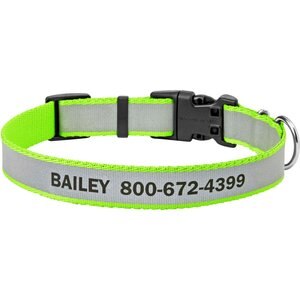 Frisco Polyester Personalized Reflective Dog Collar, Lime, Medium - Neck: 14 - 20-in, Width: 3/4-in