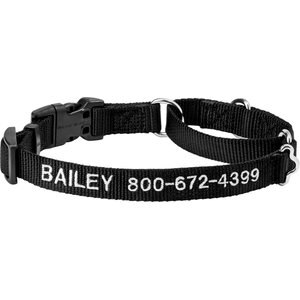 Frisco Solid Nylon Personalized Martingale Dog Collar, Small: 14 to 17-in neck, 3/4-in, wide Black