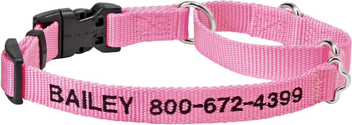 Embroidered martingale dog outlet collars