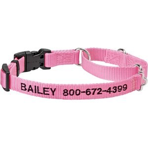 chewy martingale collar