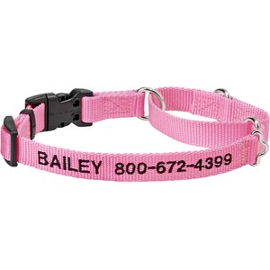 Frisco Solid Nylon Personalized Martingale Dog Collar, Pink, S: 14 to 17-in neck, 3/4-in W