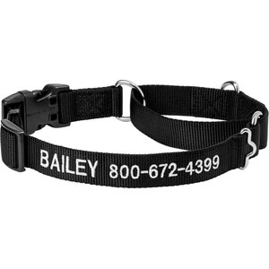 Frisco Solid Nylon Personalized Martingale Dog Collar, Medium: 17 to 20-in neck, 1-in, wide Black
