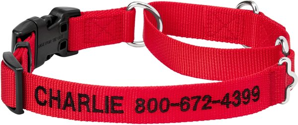 Frisco Solid Nylon Personalized Martingale Dog Collar, Medium: 17 to 20-in neck, 1-in, wide Red slide 1 of 7
