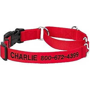Frisco Solid Nylon Personalized Martingale Dog Collar, Red, Medium: 17 to 20-in neck, 1-in wide
