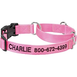 Frisco Solid Nylon Personalized Martingale Dog Collar, Pink, Medium: 17 to 20-in neck, 1-in wide