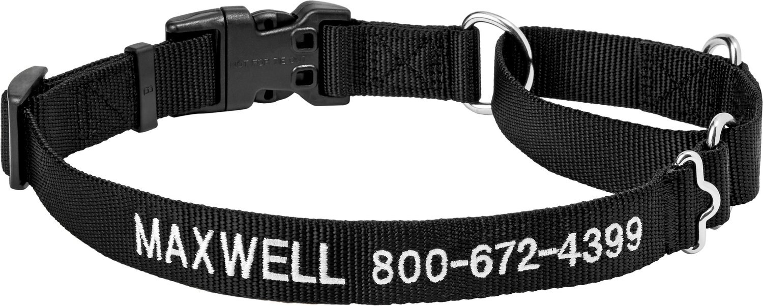 FRISCO Solid Nylon Personalized Martingale Dog Collar, Black, Large 20