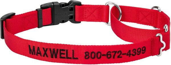 Frisco Solid Nylon Personalized Martingale Dog Collar, Large: 20 to 25-in neck, 1-in wide, Red slide 1 of 7