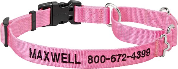 FRISCO Solid Nylon Personalized Martingale Dog Collar, Pink, Large: 20 ...