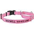 Frisco Solid Nylon Personalized Martingale Dog Collar, Pink, Large: 20 to 25-in neck, 1-in wide