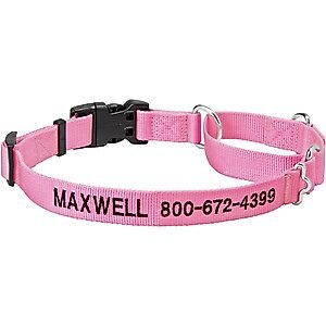 Frisco Solid Nylon Personalized Martingale Dog Collar, Pink, Large: 20 to 25-in neck, 1-in wide