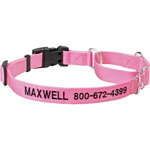 Frisco Solid Nylon Personalized Martingale Dog Collar, Pink, Large: 20 to 25-in neck, 1-in wide