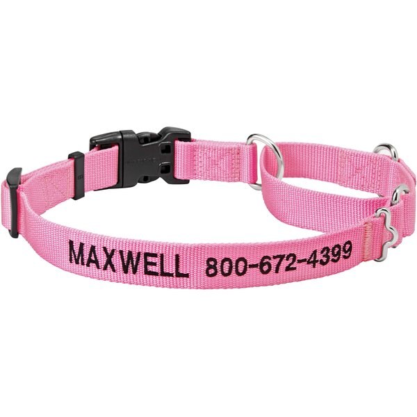 Frisco Nylon Personalized Dog Collar
