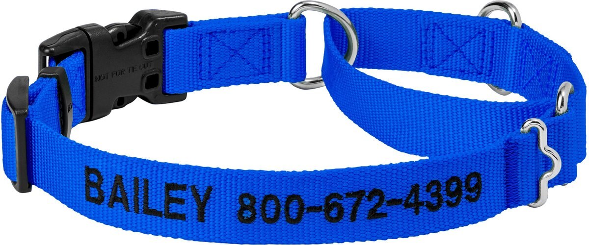 FRISCO Solid Nylon Personalized Martingale Dog Collar, Blue, Medium 17
