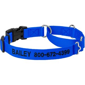 Frisco Solid Nylon Personalized Martingale Dog Collar, Medium: 17 to 20-in neck, 1-in, wide Blue