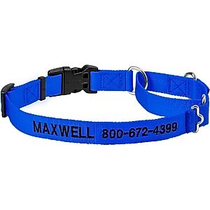 Frisco Solid Nylon Personalized Martingale Dog Collar, Blue, Large: 20 to 25-in neck, 1-in wide