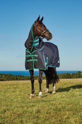 WeatherBeeta Green-Tec 900D Detach-A-Neck Medium Horse Blanket, Black/Bottle Green, 48-in slide 1 of 7