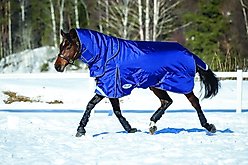 WeatherBeeta Comfitec Ultra Tough II Detach-A-Neck Medium Horse Blanket, Blue/Charcoal/White, 72-in slide 1 of 8