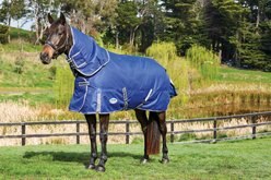 WeatherBeeta Comfitec Premier Free II Detach-A-Neck Medium Horse Blanket, Dark Blue/Gray/White, 75-in
