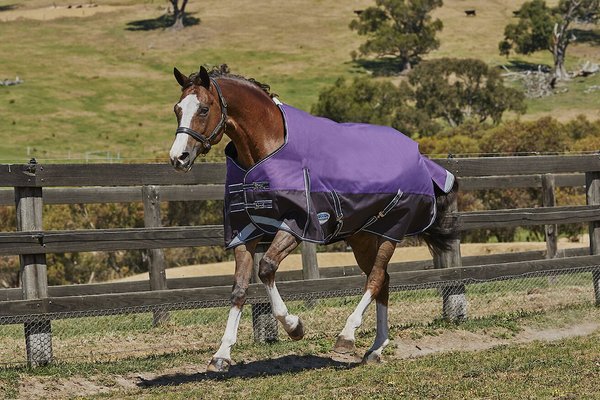 WeatherBeeta Comfitec Premier Free Neck Rug Medium Horse Blanket, Dark Blue/Gray/White, Pony slide 1 of 2