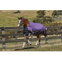 WeatherBeeta Comfitec Premier Free Neck Rug Medium Horse Blanket, Dark Blue/Gray/White, Pony