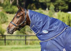 WeatherBeeta Comfitec Premier Free Neck Rug Medium Horse Blanket, Dark Blue/Gray/White, Warmblood