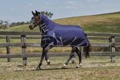 WeatherBeeta Comfitec Essential Combo Neck Medium Horse Blanket, Navy/Silver/Red, 54-in