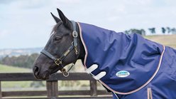 WeatherBeeta Comfitec Essential Neck Rug Lite Horse Blanket, Navy/Silver/Red, Pony