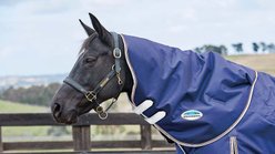WeatherBeeta Comfitec Essential Neck Rug Medium Horse Blanket, Navy/Silver/Red, Full