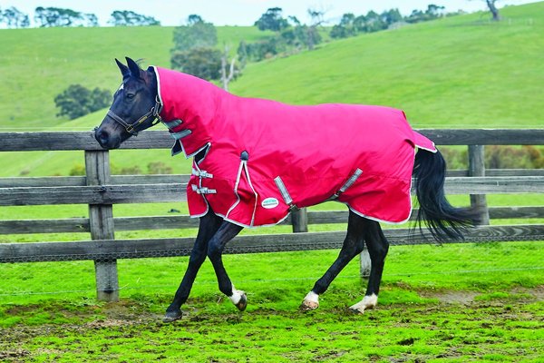 WeatherBeeta Comfitec Classic Combo Neck Lite Horse Blanket, Red/Silver/Navy, 63-in slide 1 of 2
