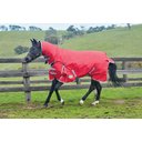 WeatherBeeta Comfitec Classic Combo Neck Medium Horse Blanket, Red/Silver/Navy, 75-in
