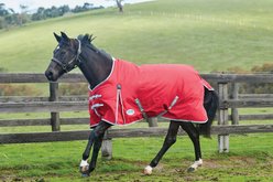 WeatherBeeta Comfitec Classic Standard Neck Lite Horse Blanket, Red/Silver/Navy, 57-in