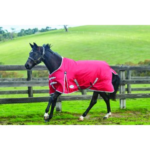 WeatherBeeta Comfitec Classic Standard Neck Medium Horse Blanket, Red/Silver/Navy, 48-in